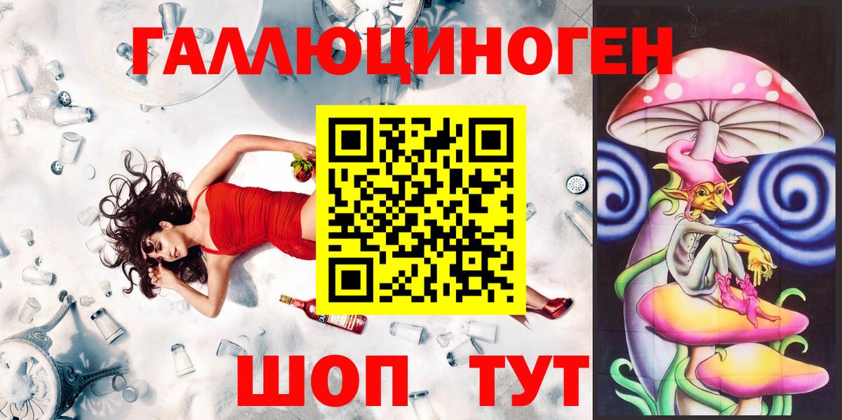 Псилоцибиновые грибы Psilocybe Кохма